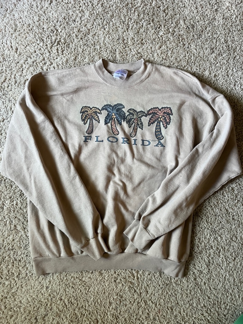 Vintage Florida Palm Graphic Crewneck Sweatshirt - Beige